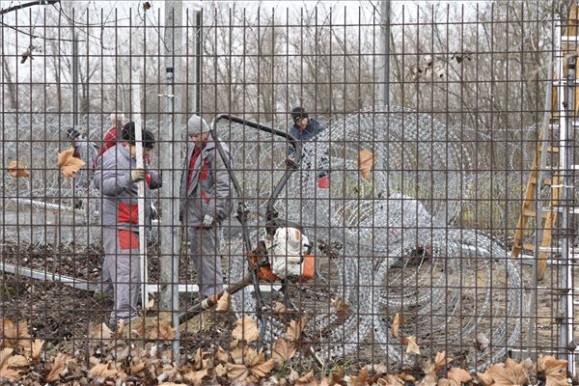 Lövések a magyar határon - Ez kihallatszott