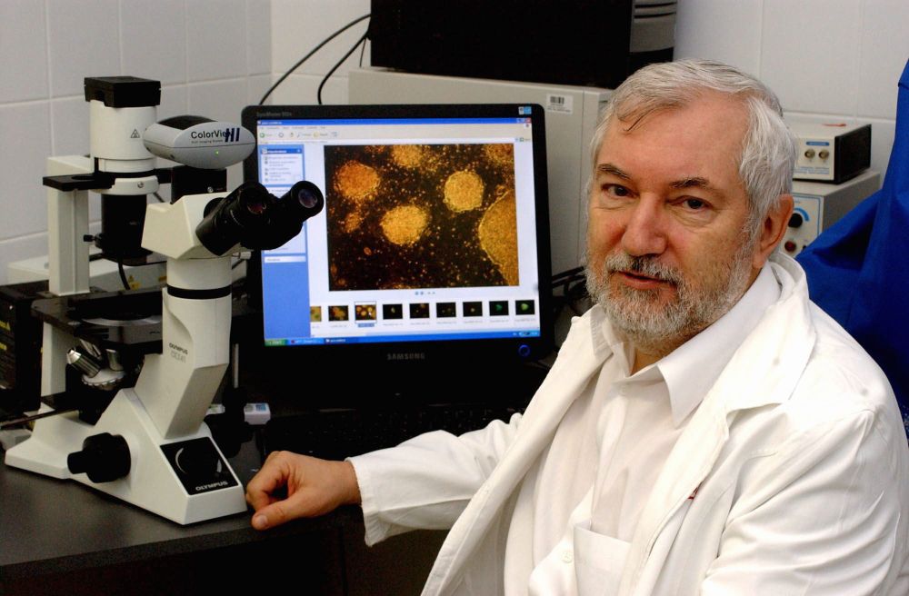 Tudomány - Őssejtkutatás Budapesten