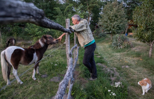 Éhes lovak, felkészülők és a bölcsek köve