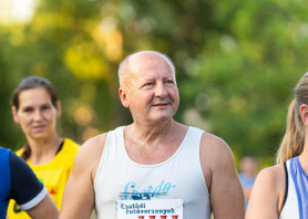 Simicskó lemondott az öttusaszövetség vezetéséről