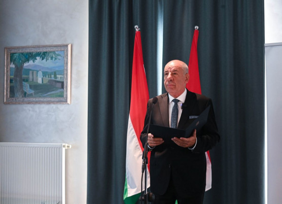 A Sándor-palota szerint nem egyeztettek a kormánnyal Sulyok Tamás munkácsi rakétatámadásos bejegyzéséről