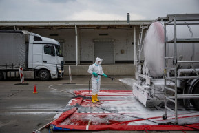 Csaknem három milliárdot tesz az állam az állatorvosi rendszerbe