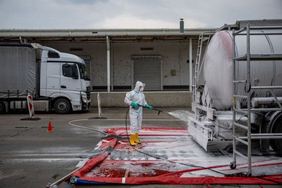 Csaknem három milliárdot tesz az állam az állatorvosi rendszerbe