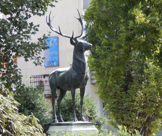 Szarvas szívesen befogadná a Fudan Egyetemet