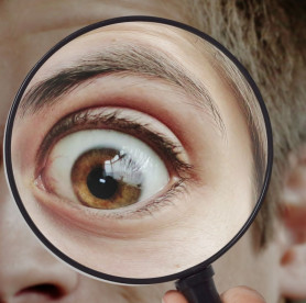 Törvénysértő Láncziék jelentése - Transparency