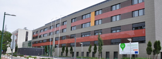 Térdprotézisre várva: ellentmondó számok, több év fájdalom, eltűnő betegek 