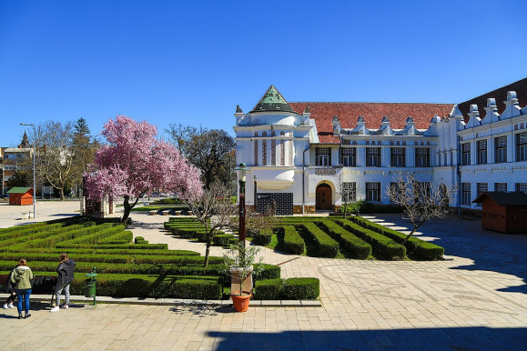 Három hónap után felmentették a Tokaj-Hegyalja Egyetem rektorát