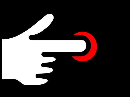 „Kutyakötelessége lett volna”