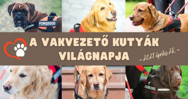 Április 28.: Ma van a vakvezető kutyák világnapja és még ...