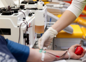 Vérplazmabiznisz: Bayer Zsolt felesége elbukta a rágalmazás miatt indított pert