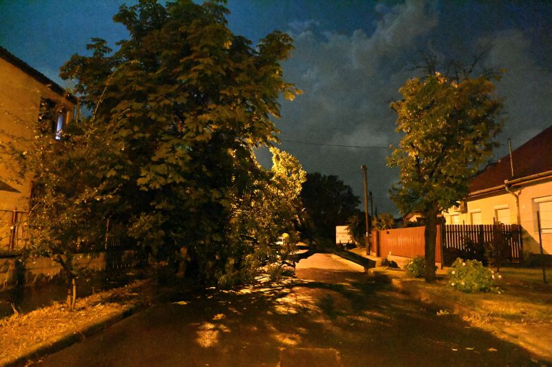 Vihar - A fővárosi katasztrófavédelem több mint ezer bejele