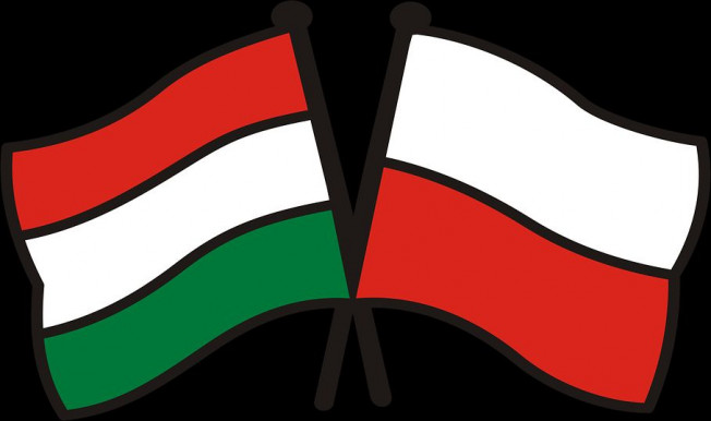 Ideje fellépni a lengyel és a magyar vezetés ellen