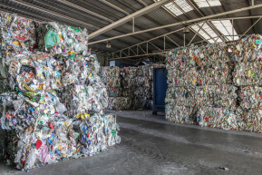 Zölden jobb – Kampánynap a környezet védelméért