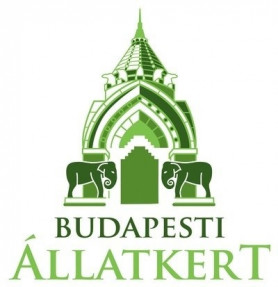Elefántborjú született Budapesten